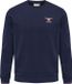 Hummel Hmlic Dayton 214318 Sweatshirt