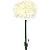 Oeillet Artificiel Crème H 55 cm Superbe Tête Tissu D 8,50 cm