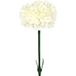 Oeillet Artificiel Crème H 55 cm Superbe Tête Tissu D 8,50 cm