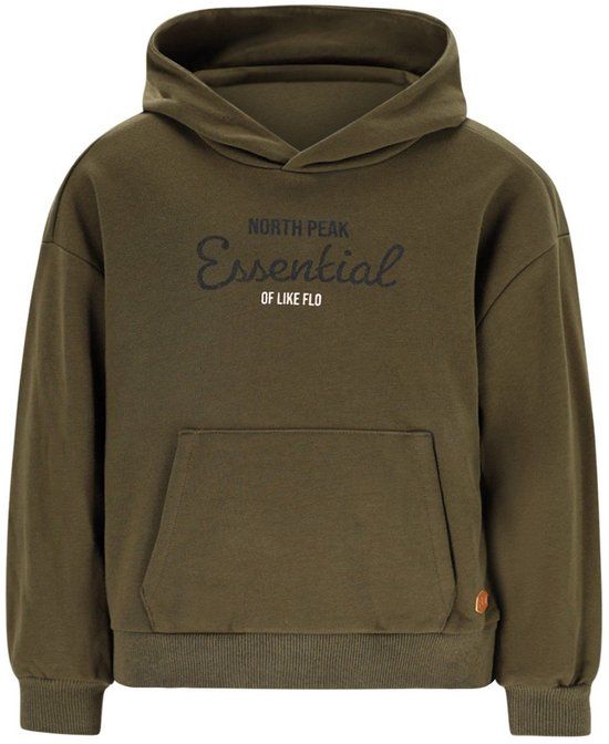 Like Flo Winter hoodie jongens - groen - Dail