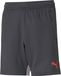 PUMA individualCUP Trainingsshorts für Kinder, Farbe: Asphalt/Rot, Größe: 164