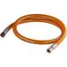 Noyon&thiebault Flexible Inox Sans Date Limite De Validité Pour Gaz Butane Et Propane 2.00 Mètres