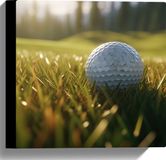 Merkloos / Sans marque Take your time Canvas - Gras - Golf - Golfbal - 30x30 cm Foto op Canvas Schilderij (Wanddecoratie op Canvas)