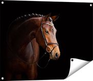 Gards Poster Marron Cheval - 80x60 cm - Décoration de jardin extérieur