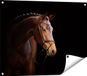 Gards Poster Marron Cheval - 80x60 cm - Décoration de jardin extérieur