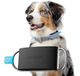 Invoxia Minitailz - GPS & Gezondheidstracker nr. 1 voor honden – waarschuwingen tegen ontsnapping, ademhalingsscan – locatie van echte tijd, zone en virtuele omheining – mini-tracker op halsband – 1 jaar abonnement inbegrepen