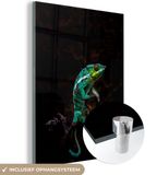 MuchoWow® Glass Painting 90x120 cm - Acrylic Glass Painting - Sitting Chameleon - Photo on Glass - Paintings
