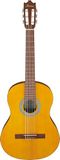 Ibanez Akoestische gitaar/GA3OAM-standaard