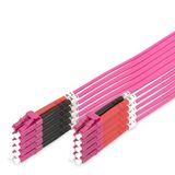 DIGITUS DK-2533-01-4 - Glasvezelkabel OM4 - 1 m - LC naar LC - Duplex