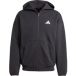 Adidas Future Icons Small Logo Hooded Sweatshirt