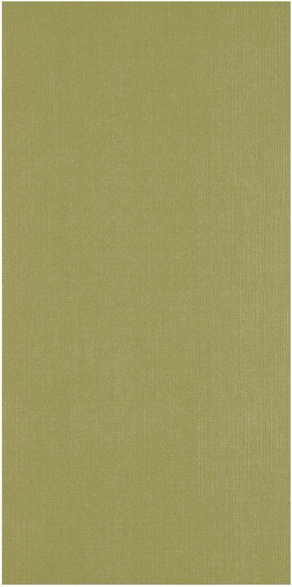 Florence Cardstock Linnenkarton - Acacia (Groen) - Gekleurd Papier - 27 x 13,5 cm - 100 vellen - Textuur - 250 g