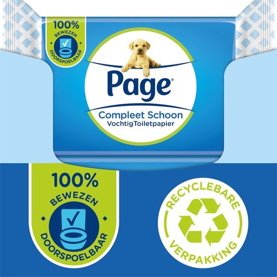 Page vochtig toiletpapier - Compleet Schoon - 100% doorspoelbaar vochtig wc papier - voordeelverpakking - 38 x 12 stuks - 456 velletjes