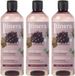 sarcia.eu ITINERA - Gladmakende Body Wash met Toscaanse rode druiven, 95% natuurlijke ingrediënten, 370 ml (3 stuks)