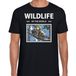 Bellatio Decorations Koala Dieren foto t-shirt - zwart - heren - wildlife of the world - cadeau shirt Koalas liefhebber M