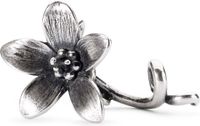 Trollbeads Unisex Charm 925 Sterling Silver TAGPE-00061