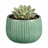 Mica Decorations Plantenpot Pablo Keramiek Groen Glans/Ribbels D14 x H12 cm