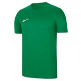 Nike Uniseks-Kind Short Sleeve Top Y Nk Df Park Vii Jsy Ss, Pine Vert/Blanc, BV6741-302, S