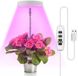 OEM HORCONDORM S.R.L. 48 LED rood-blauw volspectrum groeilamp