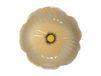 Byon Bol Poppy Beige, Ø30 cm