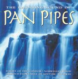 Pan Pegasus Pan Pipes - Haunting..