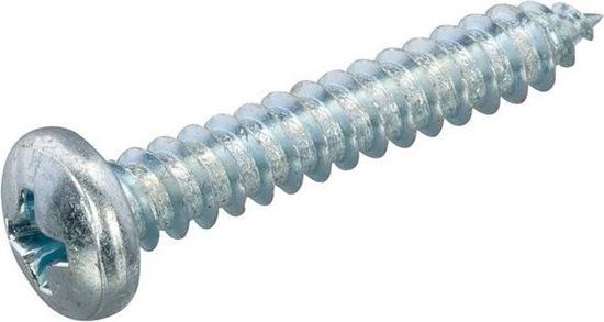 Hoenderdaal Fasteners Hoenderdaal Plaatschroef Vz Ck PH2 Din7981C 4.2X9.5 | 200 stuks