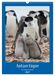 Antarctique Calvendo Antarctique des oiseaux de légende (Calendrier mural 2027 DIN A3 horizontal), CALVENDO calendrier mensuel