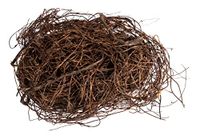 Rayher Mühlenbeckie 65395000 Decoratieve takken, natuurlijk, gedroogd, 50 g zak