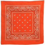 CHPN Oranje Boerenzakdoek - Oranje Bandana - Zakdoek - Shawltje - Paisleyprint - 54/54CM - Carnaval - WK Accessoire
