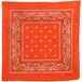 CHPN Oranje Boerenzakdoek - Oranje Bandana - Zakdoek - Shawltje - Paisleyprint - 54/54CM - Carnaval - WK Accessoire