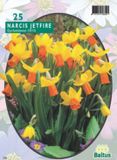 Baltus Narcis Mini Jetfire, Geel/Oranje per 25