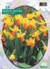 Baltus Narcis Mini Jetfire, Geel/Oranje per 25