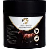 Excellent Horse Seaweed Pellets - 1 kg
