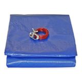 TECPLAST Rond zwembadzeil, diameter 6,20 m, voor bovengronds zwembad, diameter 5,4 m, zwembadafdekking PO155RD met afvoernet