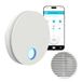 plikc - WIFI wandventilator met axiale afzuiging serie Ario W met vochtsensor en timer - 100% Made in Italy + wandrooster (goud Ø 90, wit)