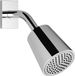 Dornbracht Universel douche de tête avec