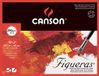 Canson Figueras Olie & Acryl 290gsm papier blok 50x65cm