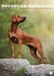 CalendarsRUs Rhodesian Ridgeback A3 Kalender 2027