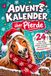 Adventskalender über Pferde: 24 Tage voller kurioser Fakten, festlicher Geschichten & überraschender Pferdegeheimnisse | Das Geschenk für alle Pferdeliebhaber!