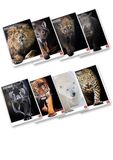 Pigna, Maxi-schrift Animal, formaat A4 21x29,7 cm, 80 pagina's + schutblad, papier 80 g/m², binnenwerk 10, ruitjes 1 cm, diverse kaften, 10 stuks