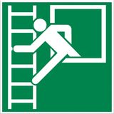 Pikt-o-Norm Pictogram Vluchtladder 20x20cm - polypropeen