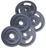 Taurus Sport-Tiedje gerubberde halterschijven Premium 10 kg