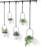 Umbra Triflora hangende bloempotten - set van 5 - Zwart/Wit (Wit)