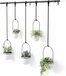 Umbra Triflora hangende bloempotten - set van 5 - Zwart/Wit (Wit)