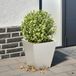 Maison Exclusive - Jardinière 30x30x30 cm en acier inoxydable