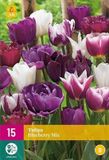 Jub Holland Tulpen Blueberry Mix bloembollen - 15 stuks