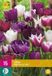 Jub Holland Tulpen Blueberry Mix bloembollen - 15 stuks