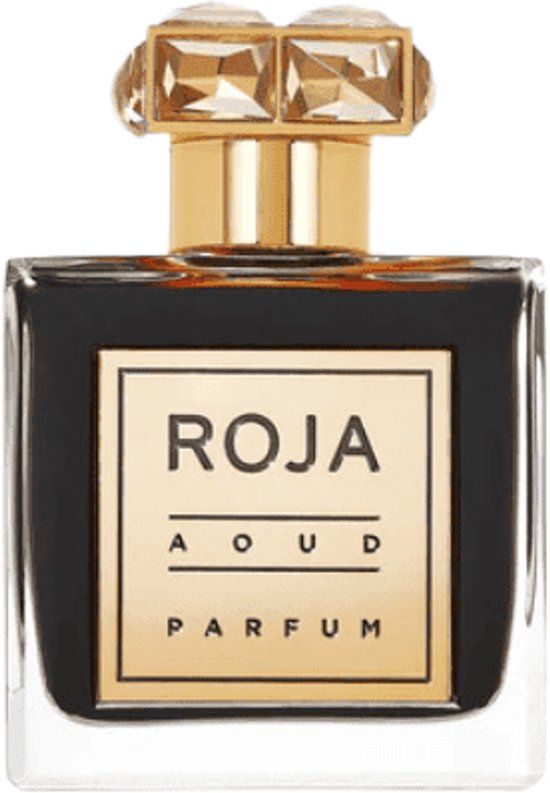 Roja Parfums Aoud / 100 ml / Unisex