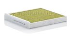 MANN-FILTER FP 22 013 Cabineluchtfilter - CARS + TRANSPORTERS