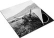 Chefcare Inductie Beschermer Schotse Hooglander - Zwart Wit - 78x78 cm
