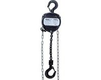 EUROLITE Chain Hoist 10M/1.0T Zwart